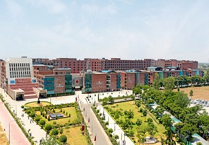  from Lovely Professional University, Jalandhar